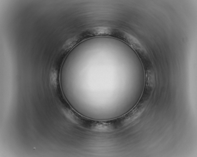 X0000111880550200907301139