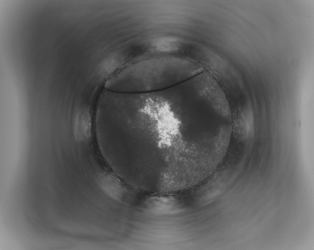 X0000111880552200907301139