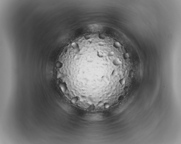 X0000111880553200907301139