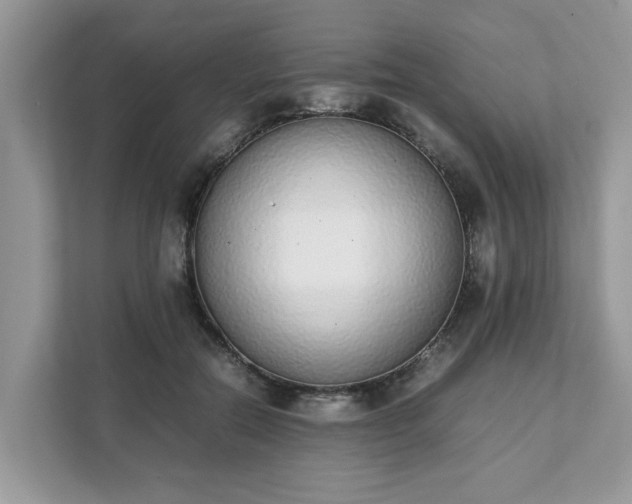 X0000111880554200907301139