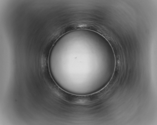 X0000111880555200907301139
