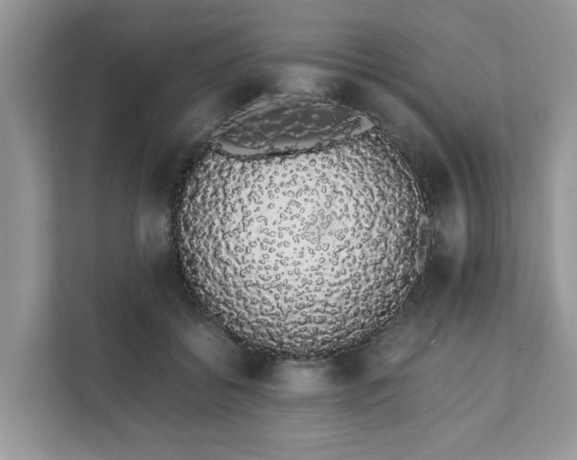 X0000111880556200907301139
