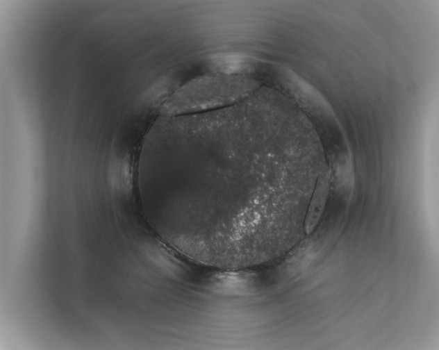 X0000111880558200907301139