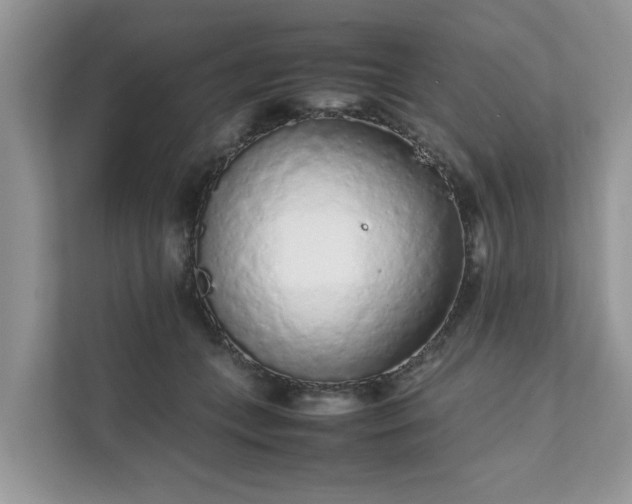 X0000111880559200907301139