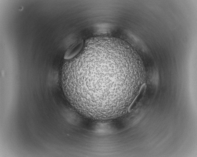 X0000111880560200907301139