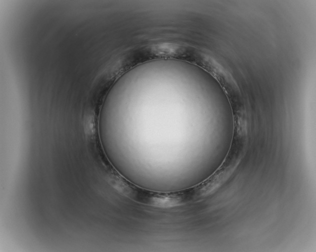 X0000111880561200907301139