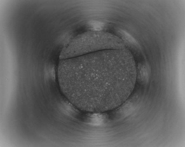X0000111880562200907301139