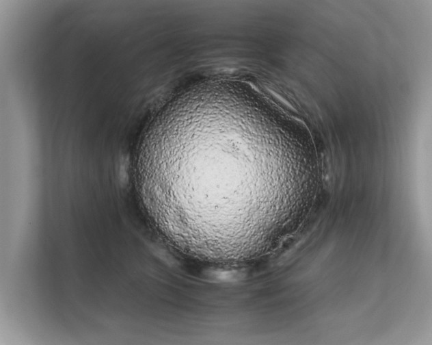 X0000111880563200907301139