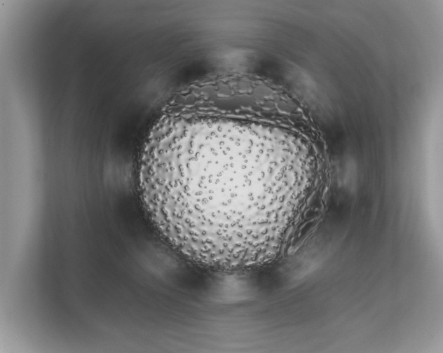 X0000111880564200907301139