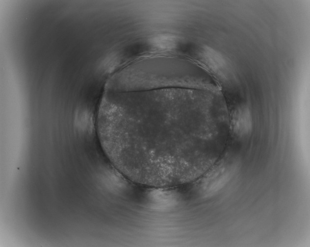 X0000111880568200907301139