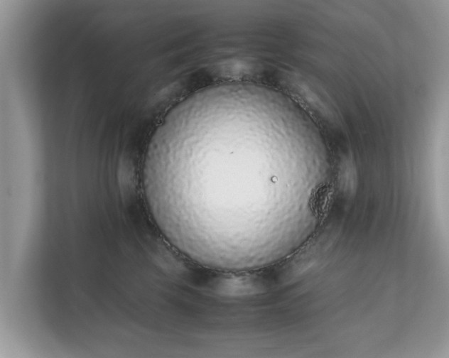X0000111880569200907301139