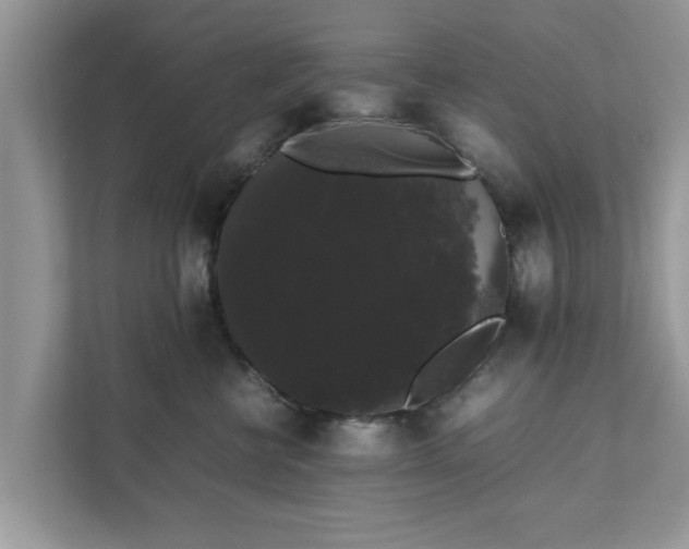 X0000111880570200907301139