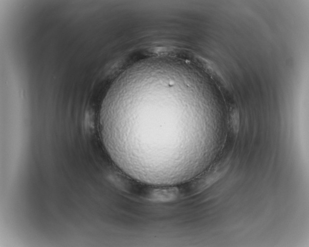 X0000111880571200907301139