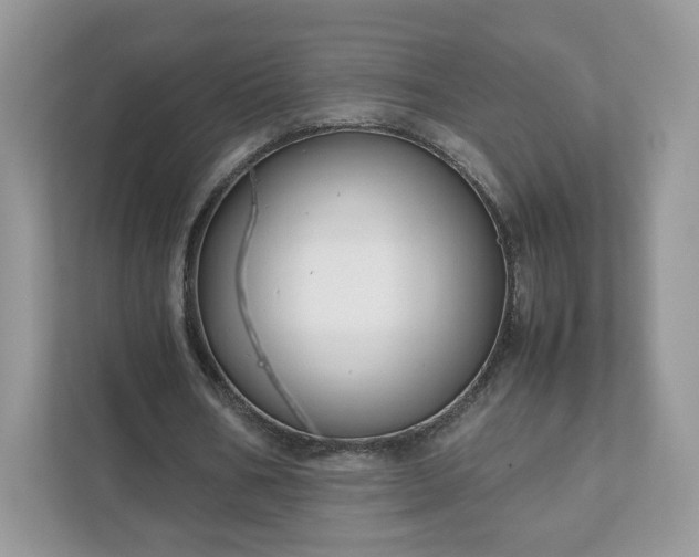 X0000111880578200907301139