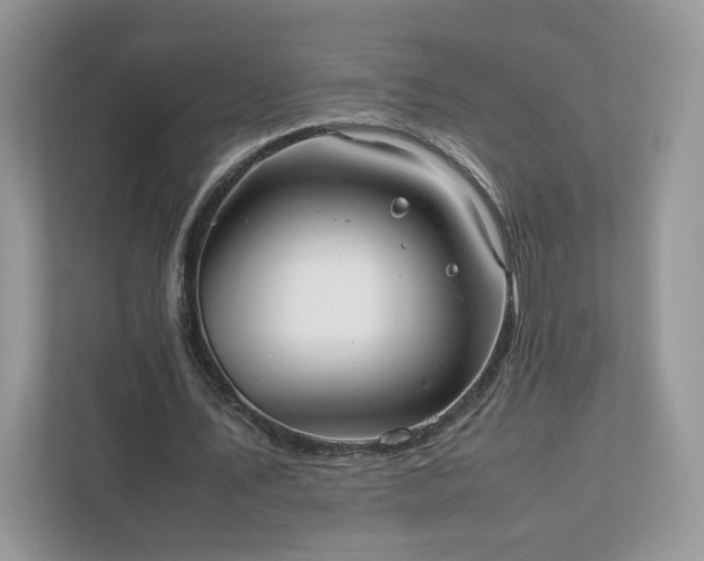 X0000111880579200907301139