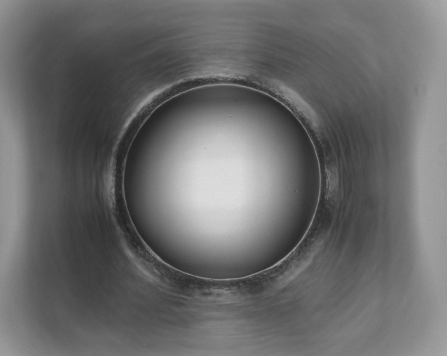 X0000111880580200907301139