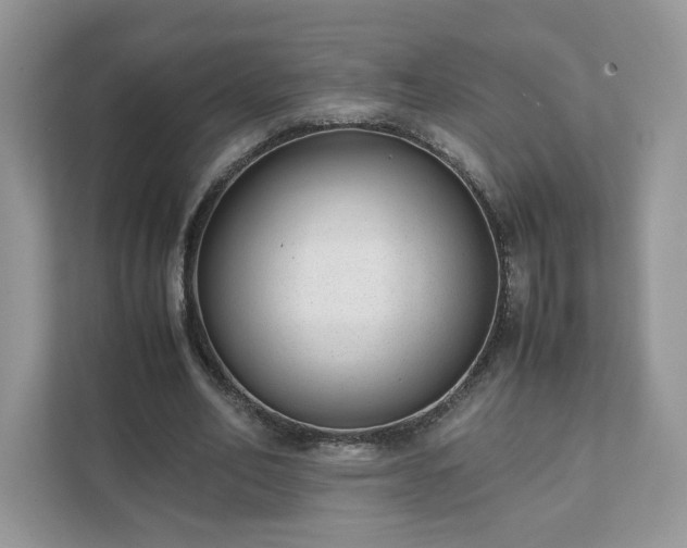 X0000111880582200907301139