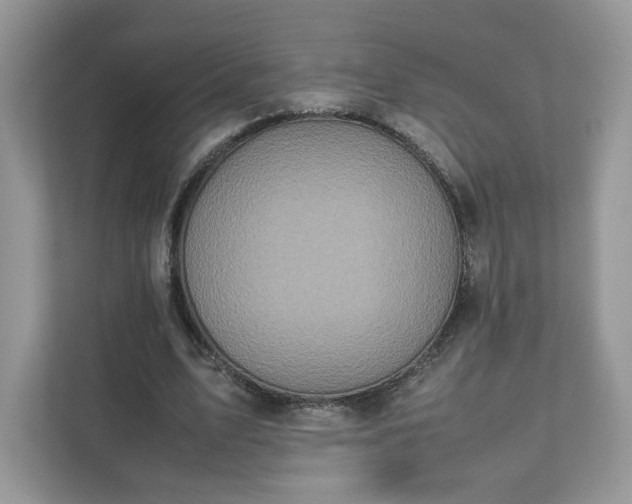 X0000111880583200907301139
