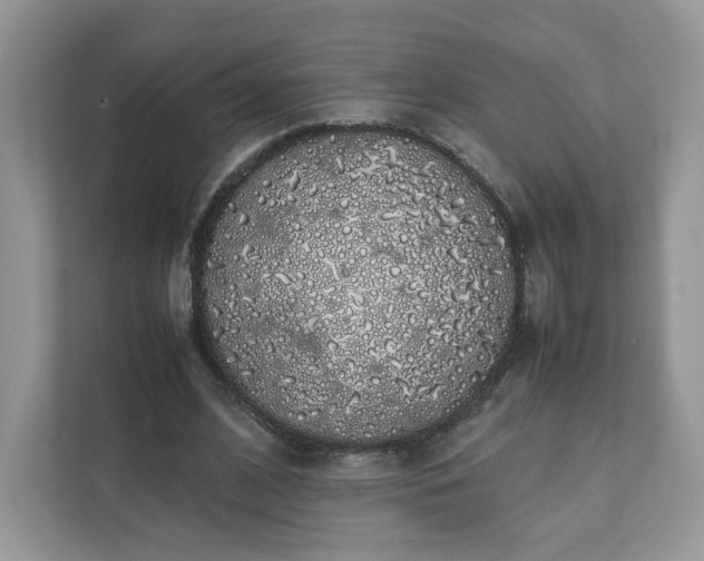 X0000111880584200907301139