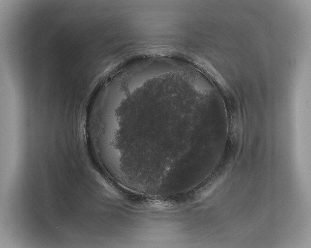X0000111880585200907301139