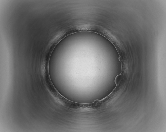 X0000111880586200907301139