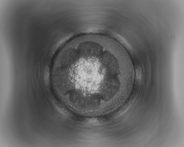 X0000111880588200907301139
