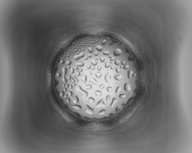 X0000111880589200907301139