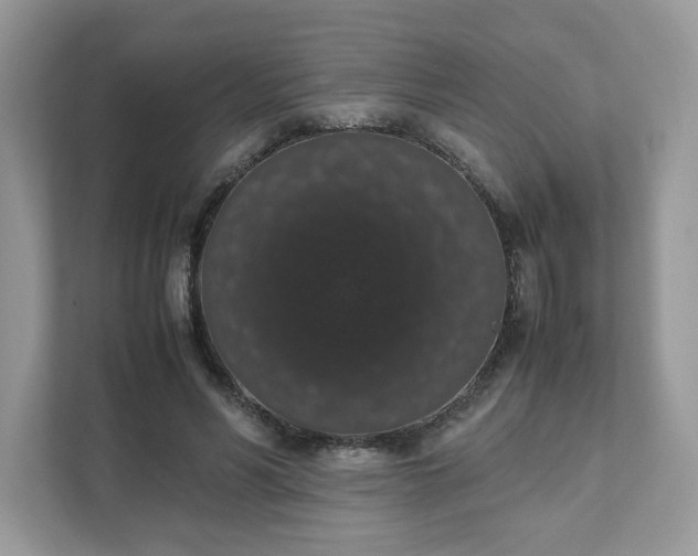 X0000111880590200907301139