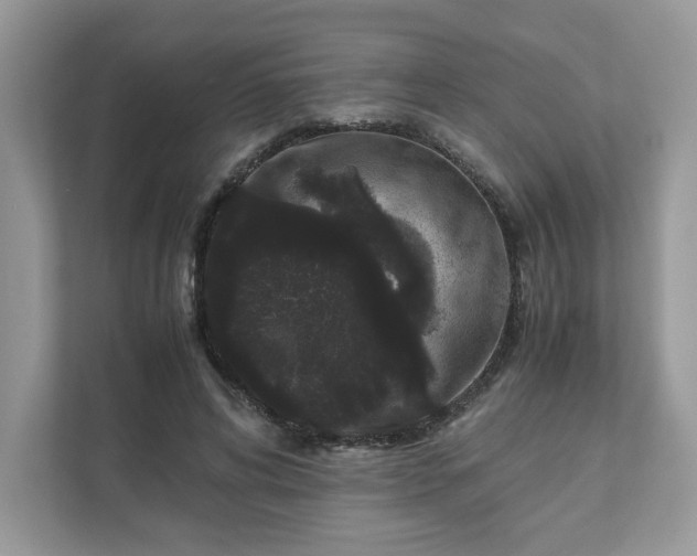 X0000111880592200907301139