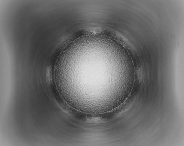 X0000111880594200907301139