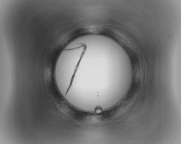 X0000111880595200907301139