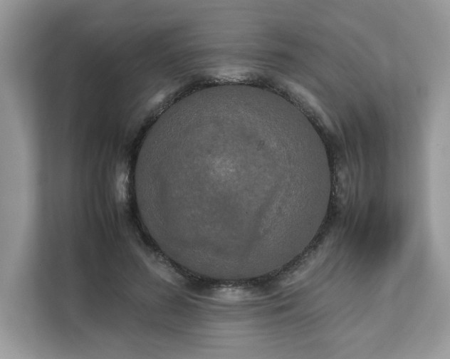 X0000111880596200907301139