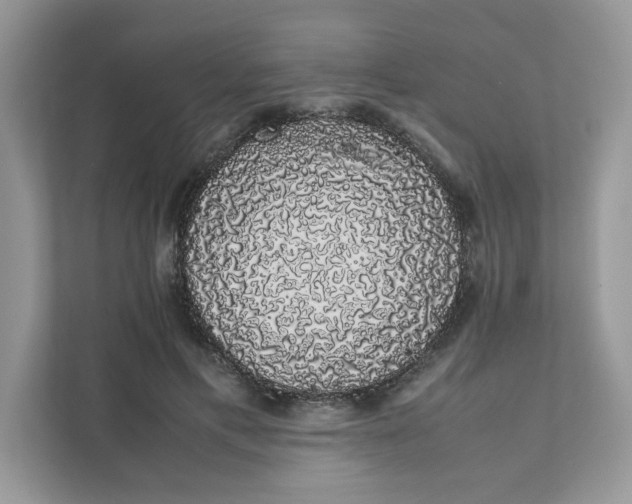 X0000111880597200907301138