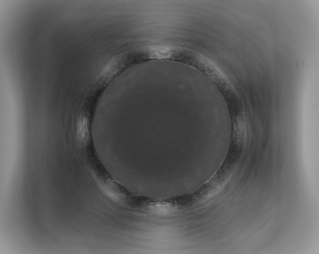 X0000111880598200907301138