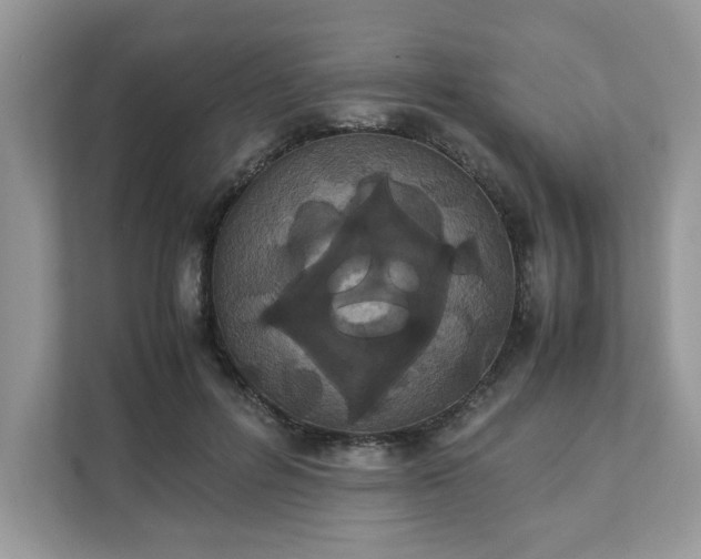 X0000111880600200907301138