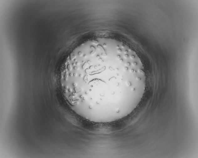 X0000111880601200907301138