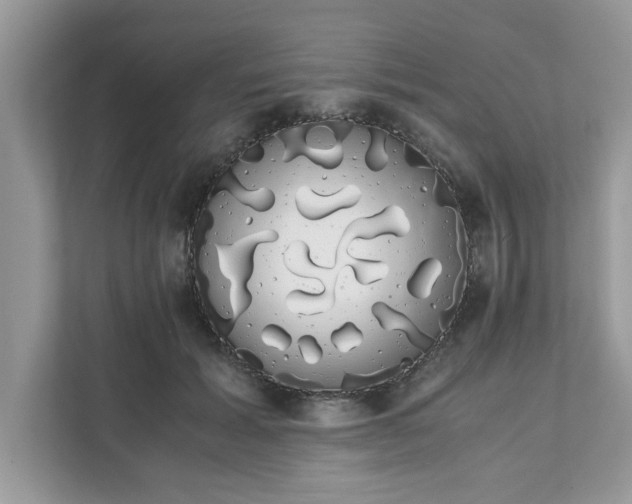 X0000111880605200907301138