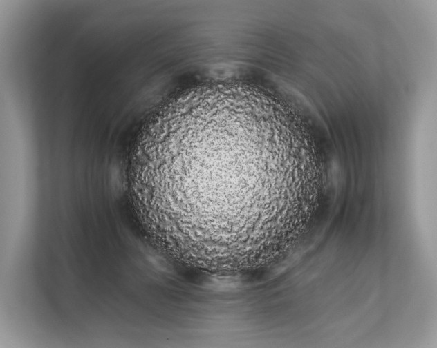 X0000111880606200907301138