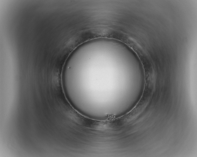 X0000111880612200907301138