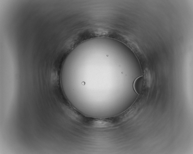 X0000111880614200907301138
