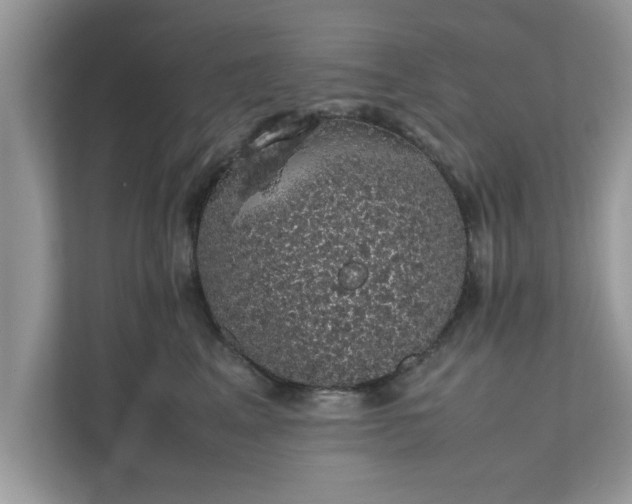 X0000111880617200907301138