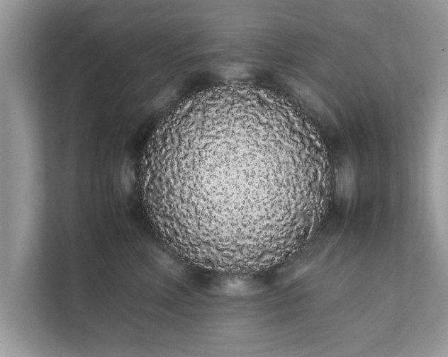 X0000111880618200907301138