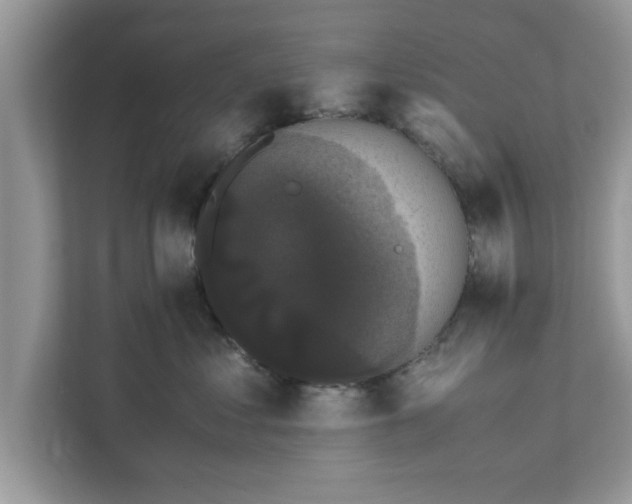 X0000111880621200907301138