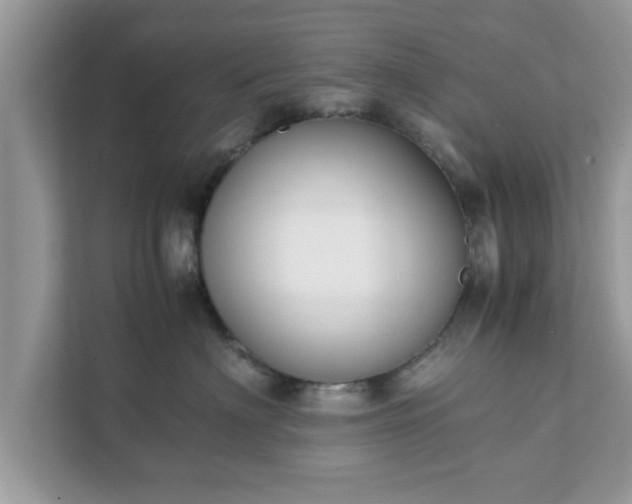 X0000111880622200907301138