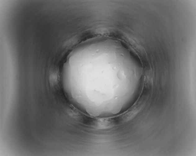 X0000111880623200907301138