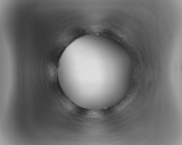 X0000111880624200907301138