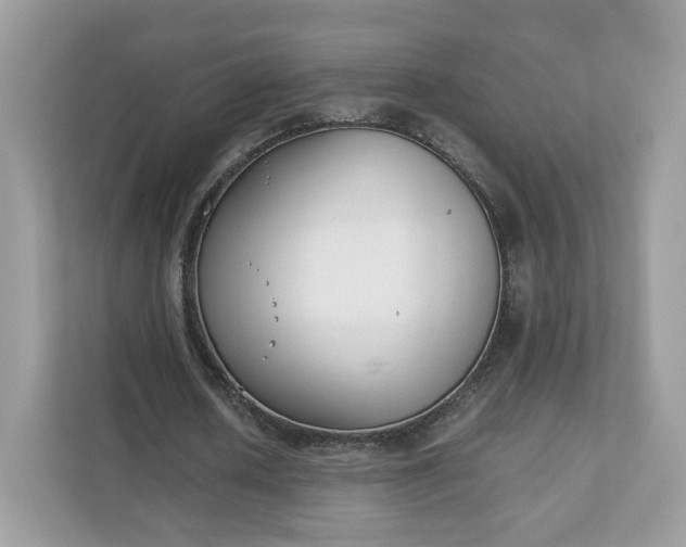 X0000111880626200907301138
