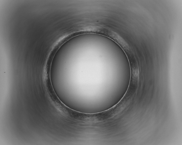 X0000111880628200907301138