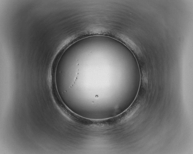 X0000111880630200907301138
