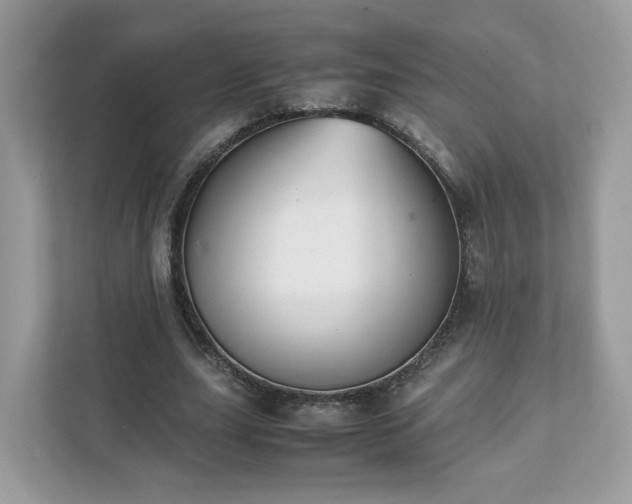 X0000111880631200907301138